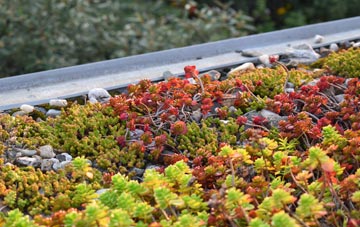 the cost of Coed Morgan green roof installation