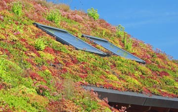 Coed Morgan living roof systems
