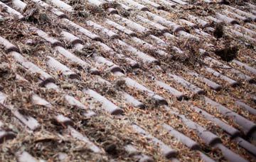 Coed Morgan roof cleaning companies